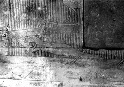 Otter on tomb relief, Mastaba of Mereruka;
Saqqara, Egypt,6th Dynasty c. 2300 BCE
