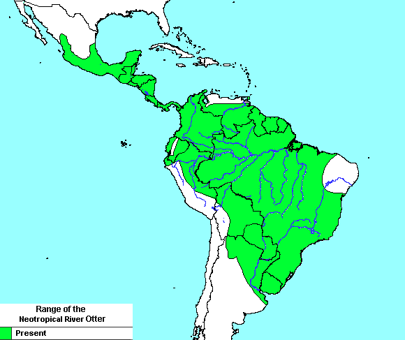 Distribution of Lontra longicaudis